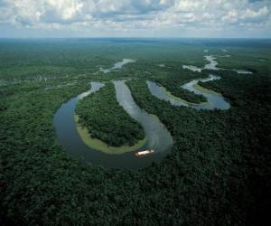 Puzzle Rio Amazonas, στο συγκρότημα διατήρηση της Κεντρικής Amazon, Βραζιλία